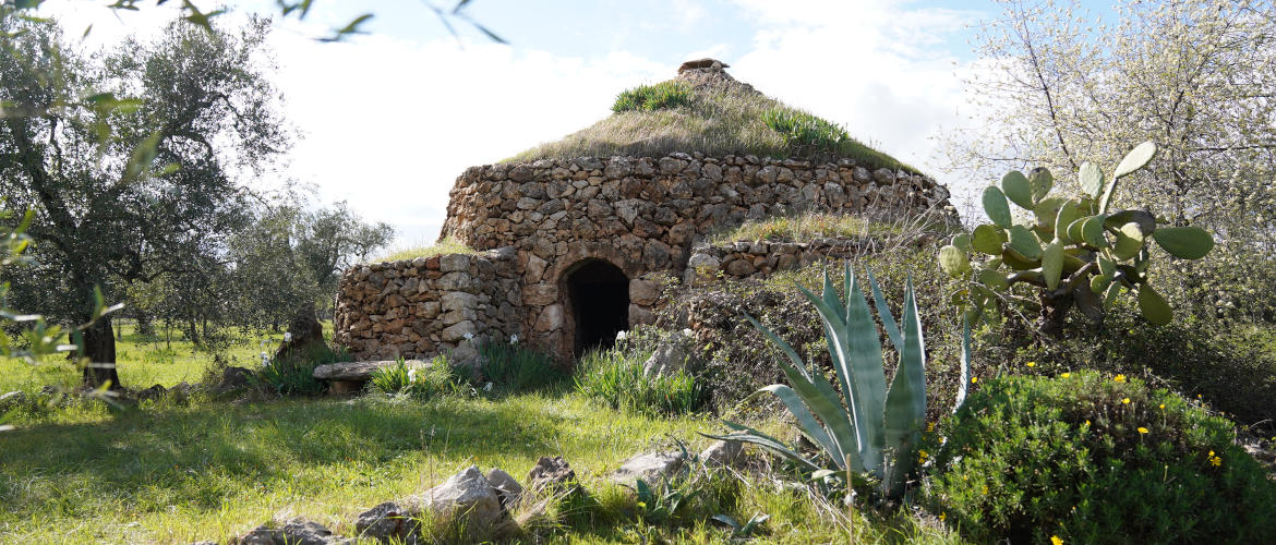 Una campagna pugliese con diverse specie vegetali tipiche del territorio ed un trullo integrato nell'ambiente circostante