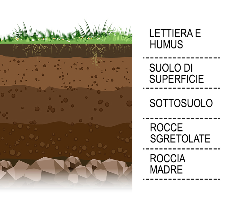 Composizione del suolo