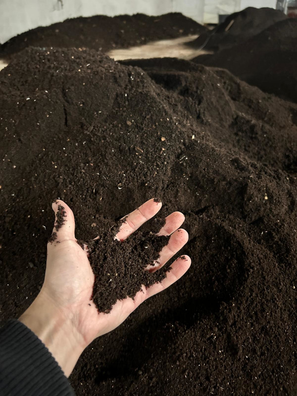 Humus di lombrico ideale per la concimazione di nuovi impianti arborei. 